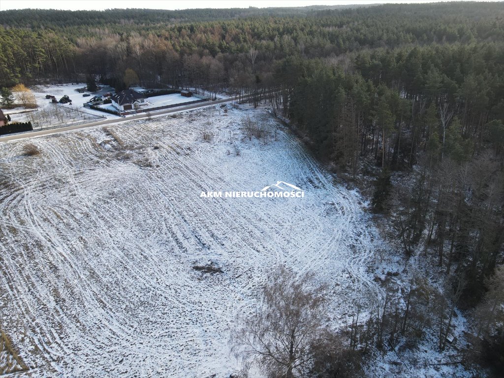 Działka budowlana na sprzedaż Ryjewo  1 100m2 Foto 2