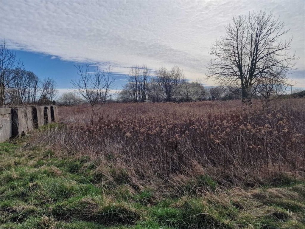 Działka budowlana na sprzedaż Jeszkowice  2 637m2 Foto 4