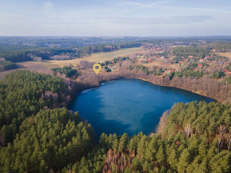 Działka budowlana na sprzedaż Świerkocin  10 451m2 Foto 11