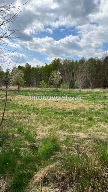 Działka budowlana na sprzedaż Koczurki, Koczurki  1 000m2 Foto 2