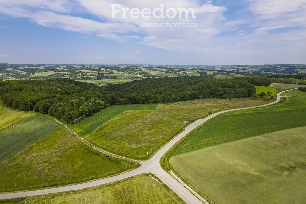 Działka budowlana na sprzedaż Wielopole Skrzyńskie  12 400m2 Foto 3