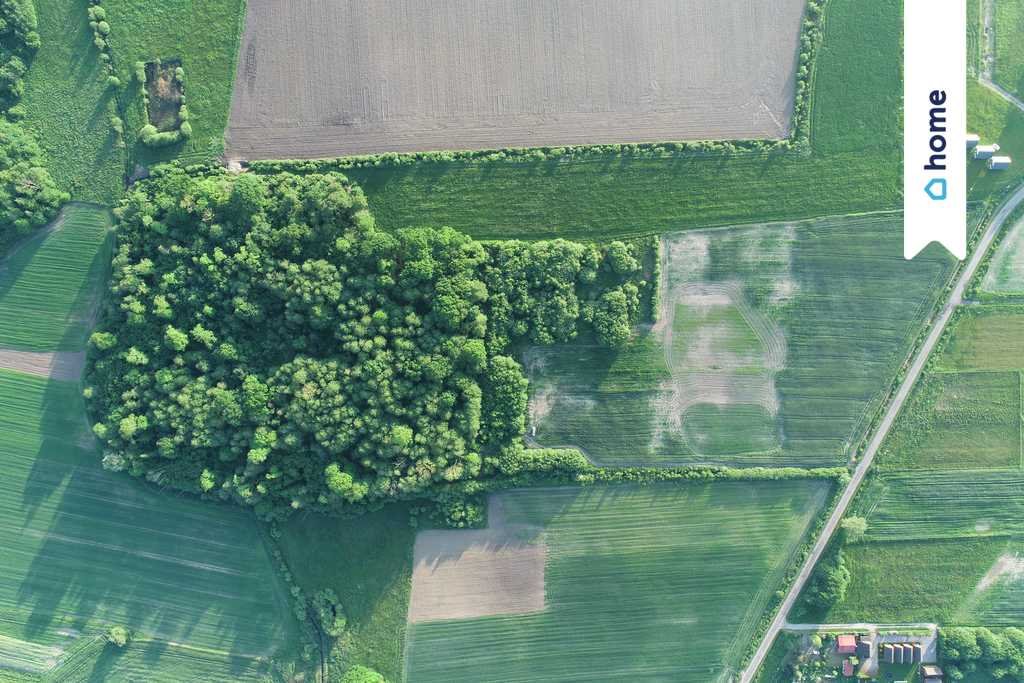 Działka budowlana na sprzedaż Łącko  70 600m2 Foto 3