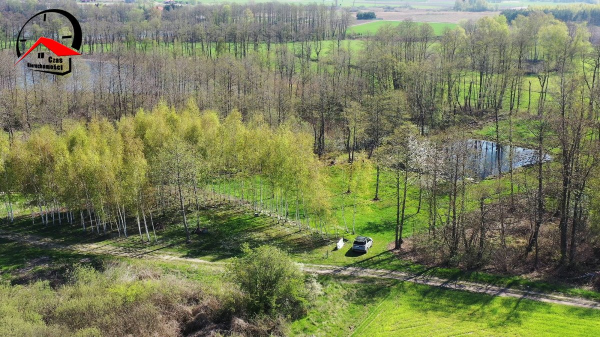 Działka budowlana na sprzedaż Izdebno  5 400m2 Foto 8