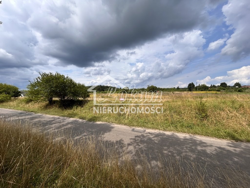 Działka 4 800 m² z możliwością budowy domu i produkcji Wieńkowo  4 800m2 Foto 1