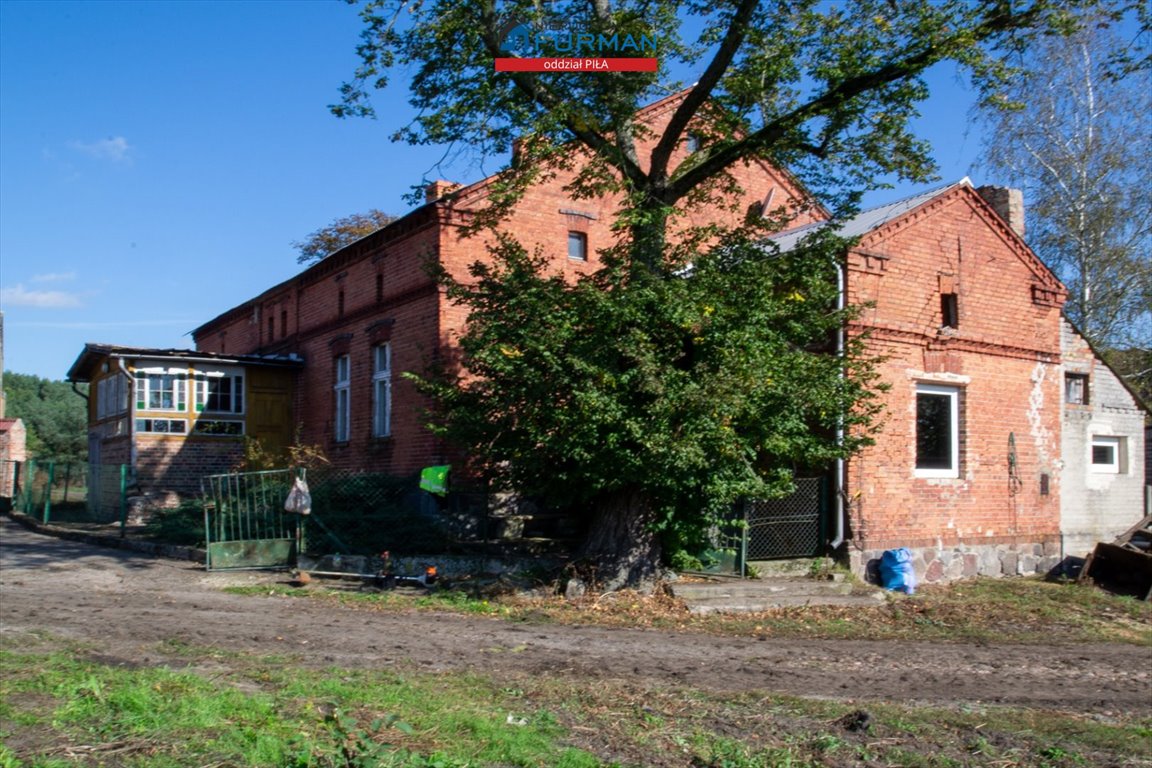 Polecam gospodarstwo rolne 176 m² z infrastrukturą i możliwością dokupienia działek Nowe Dwory  176m2 Foto 1