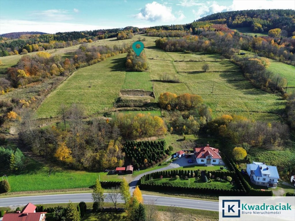 Działka rolna z pięknymi widokami w Desznie, 2000 m2 Rymanów-Zdrój, Deszno  2 000m2 Foto 1