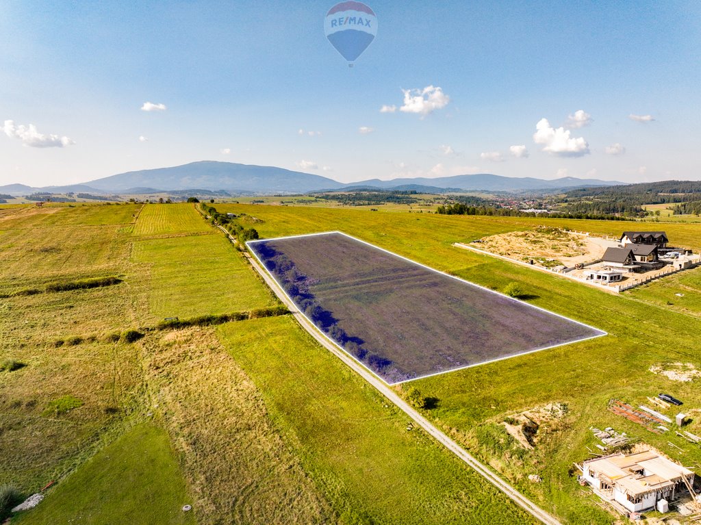 Działka budowlana na sprzedaż Jabłonka  11 000m2 Foto 2