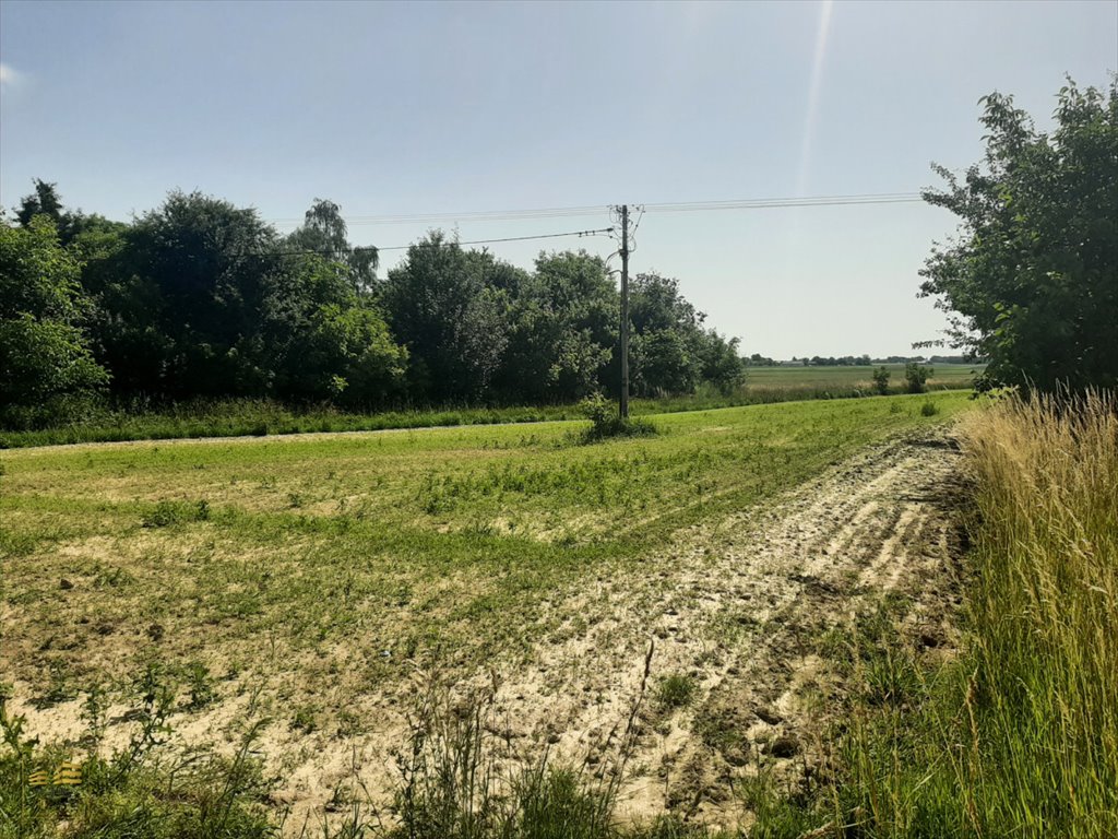 Działka 3000 m² z mediami, pierwsza linia od szosy Krężnica Jara  3 000m2 Foto 1