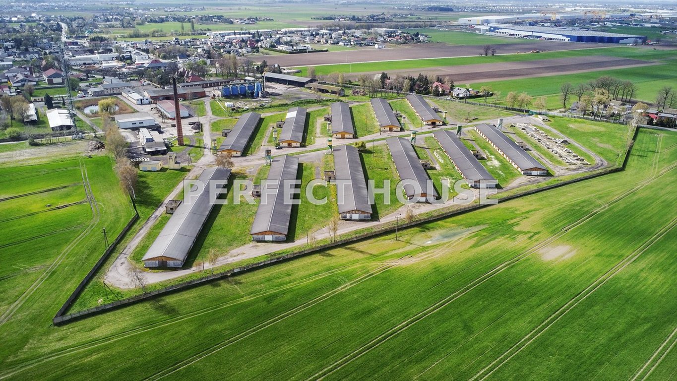 Działka inwestycyjna na sprzedaż Paczkowo  1 556 970m2 Foto 1