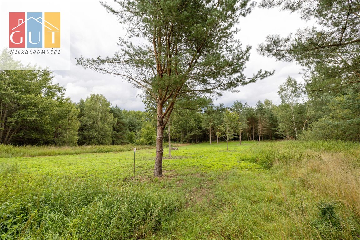 Działka budowlana na sprzedaż Elgnówko  1 200m2 Foto 12