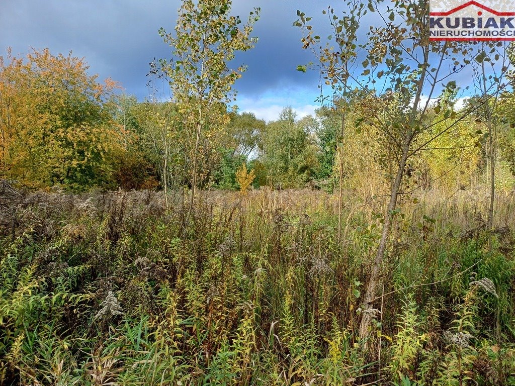 Działka budowlana na sprzedaż Grodzisk Mazowiecki  2 544m2 Foto 3