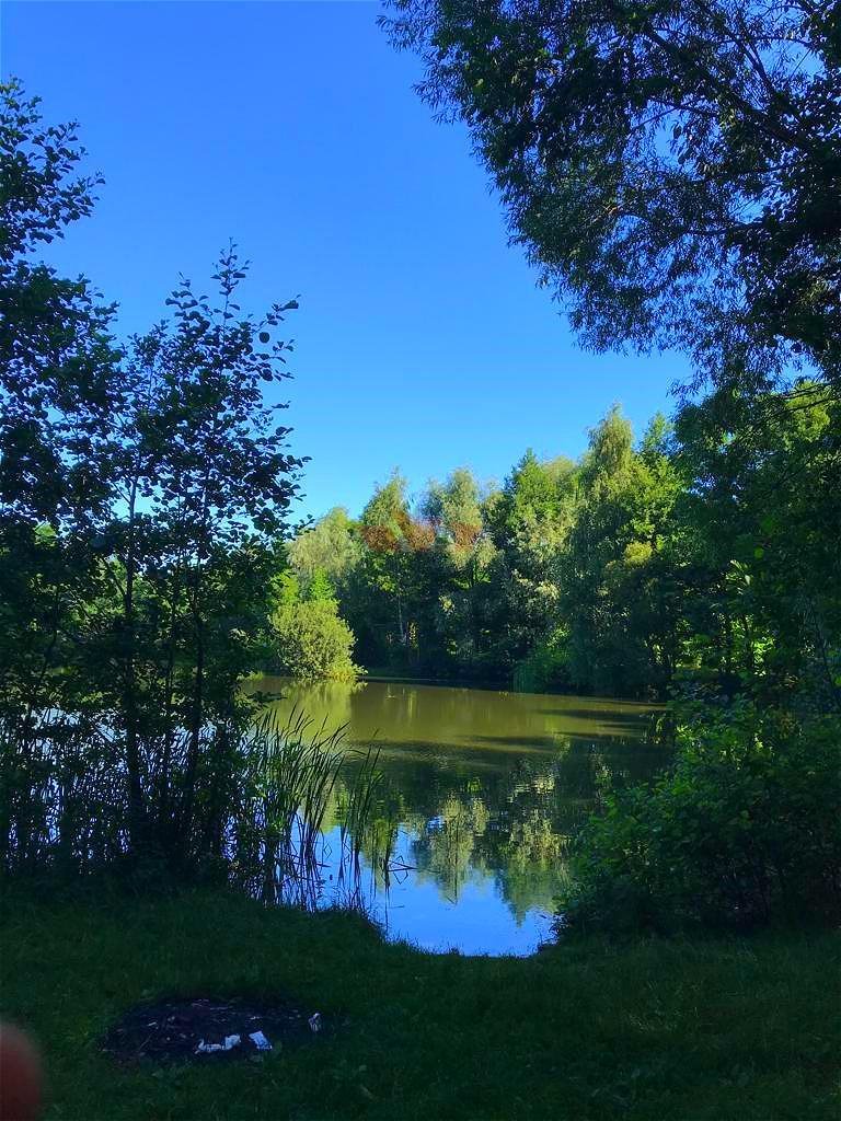 Działka budowlana na sprzedaż Książenice  22 393m2 Foto 1