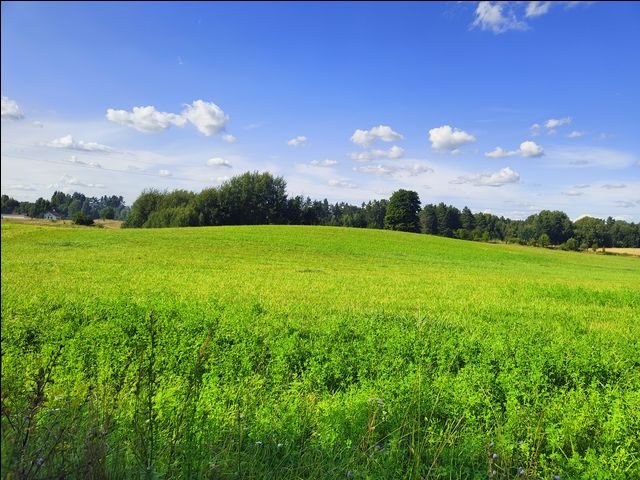 Działka rolna na sprzedaż Wołowno  9 900m2 Foto 4