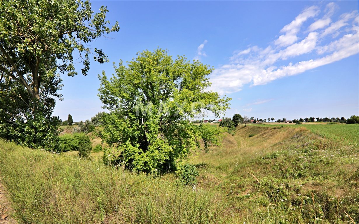 Działka budowlana na sprzedaż Zakroczym  49 316m2 Foto 5