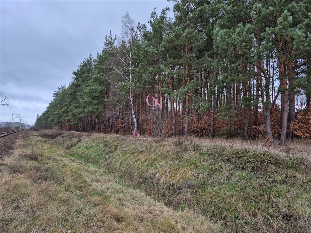 Działka inna na sprzedaż Odolion  3 738m2 Foto 5