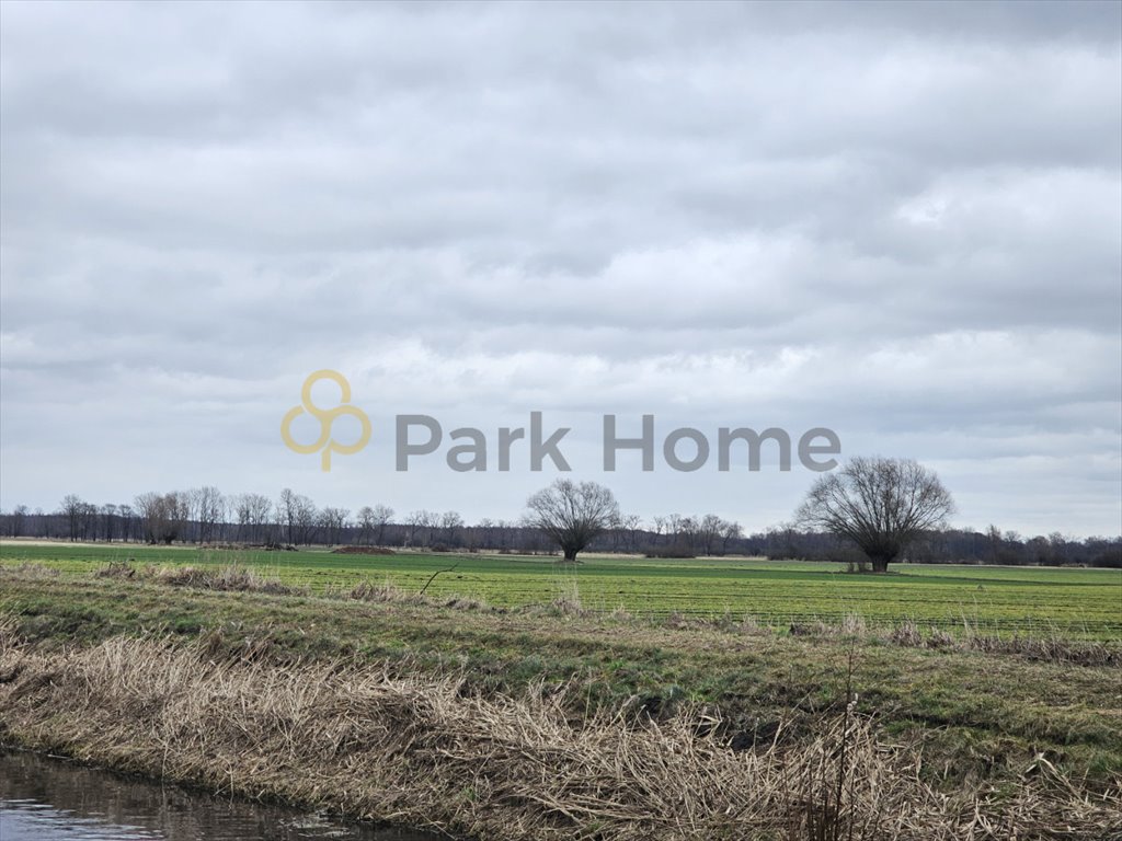 Działka rolna na sprzedaż Kotusz  35 858m2 Foto 1