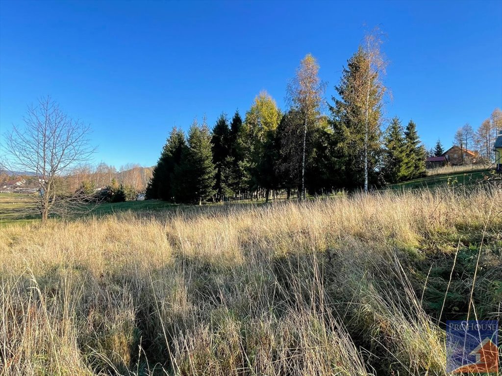 Działka budowlana na sprzedaż Stara Wieś  2 100m2 Foto 17