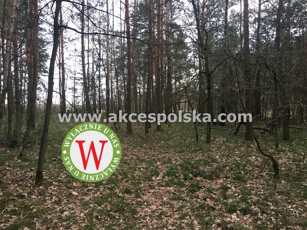 Działka inna na sprzedaż Zieleniec, Józefów  11 800m2 Foto 18