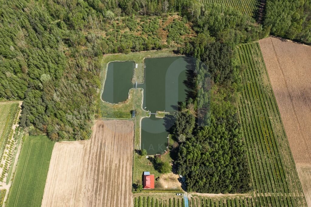 Działka siedliskowa na sprzedaż Zimnice  24 000m2 Foto 14