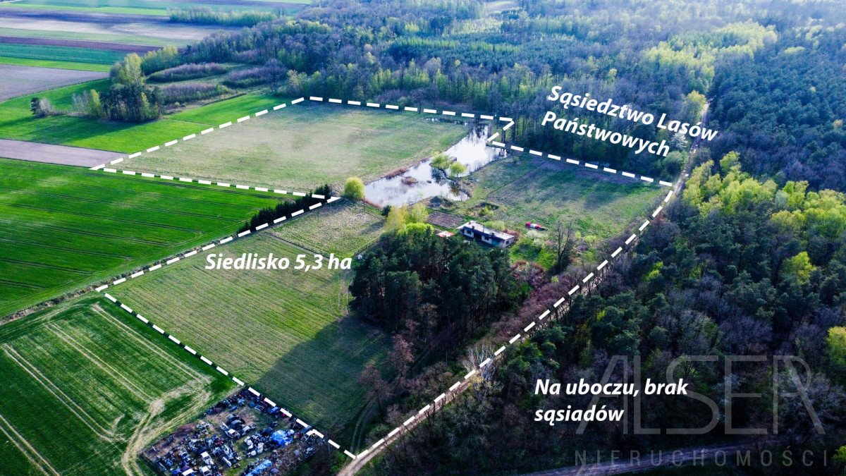 Urokliwe siedlisko 5,3 ha z własnym stawem i lasem Rogów  120m2 Foto 1