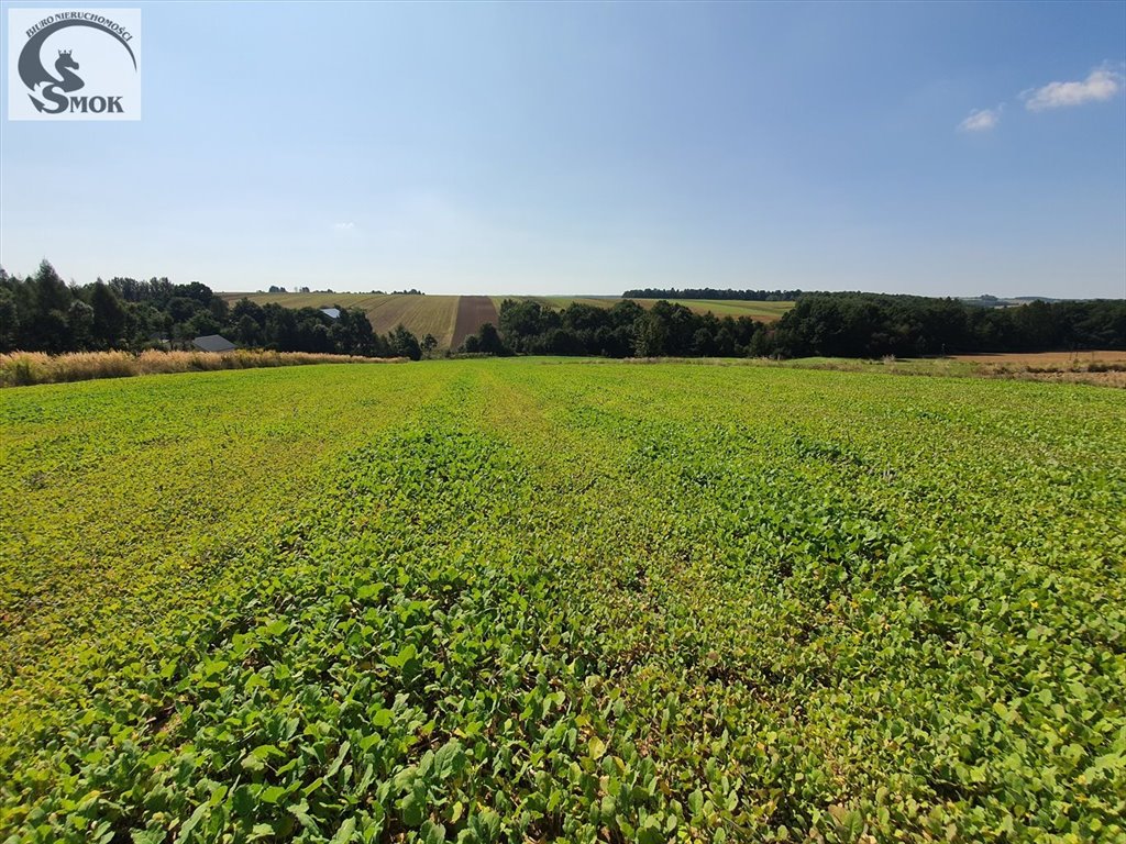 Działki budowlane z widokiem, media, cicha okolica - zapraszam Władysław  1 590m2 Foto 1