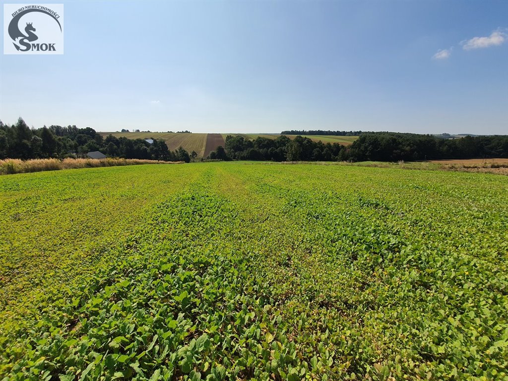 Działka budowlana na sprzedaż Władysław  1 590m2 Foto 1