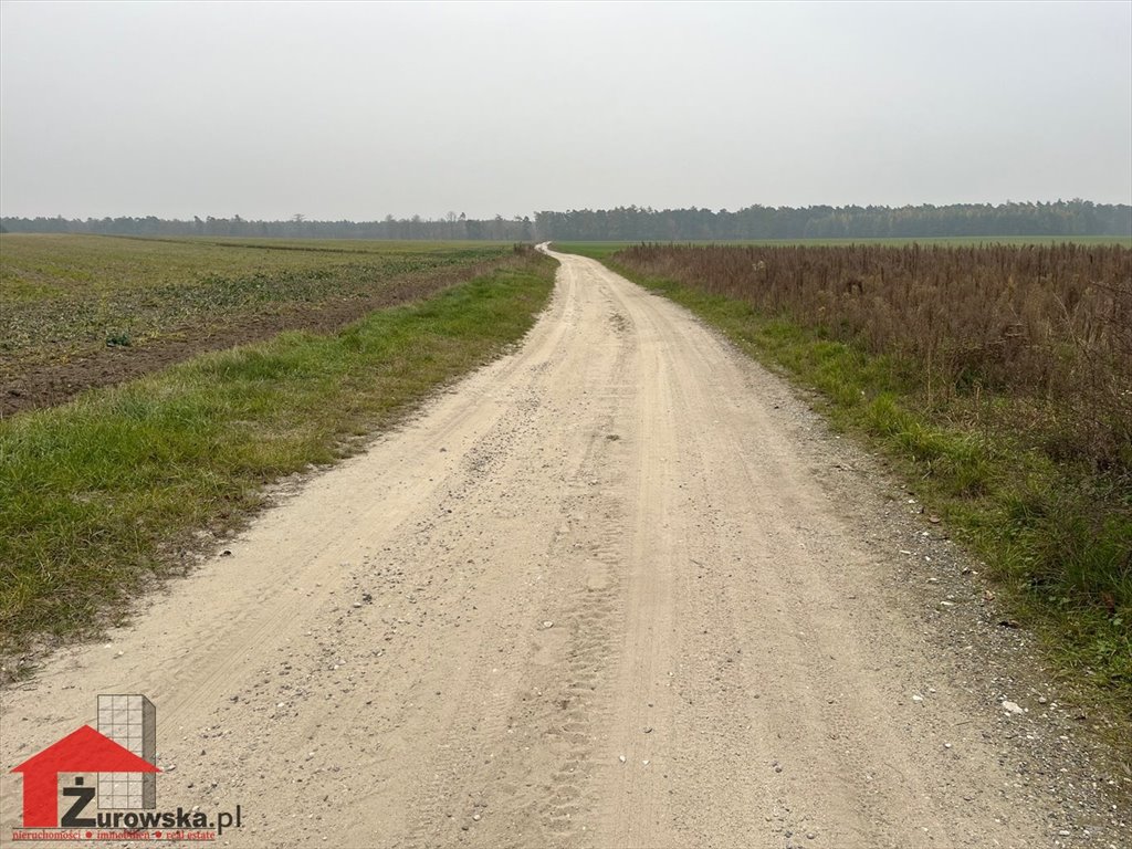 Działka budowlana na sprzedaż Centawa  1 200m2 Foto 8