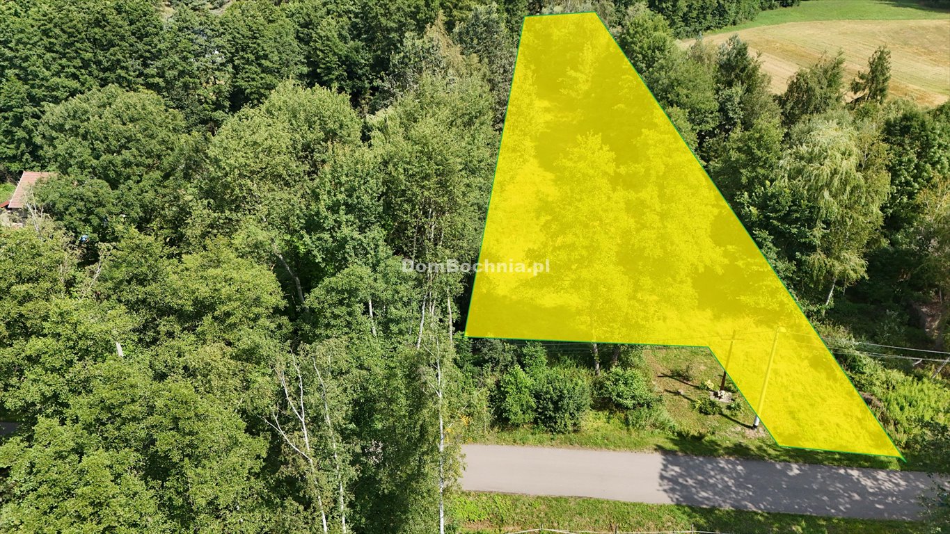 Na sprzedaż działka 1700 m² w Buczkowie - cisza, media, plan budowy domów Buczków  1 700m2 Foto 1