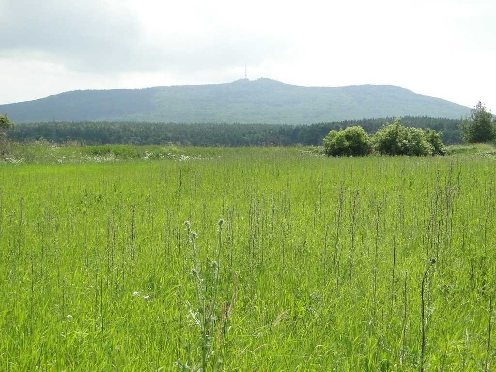 Działka budowlana na sprzedaż Chwałków, Chwałków  49 370m2 Foto 1