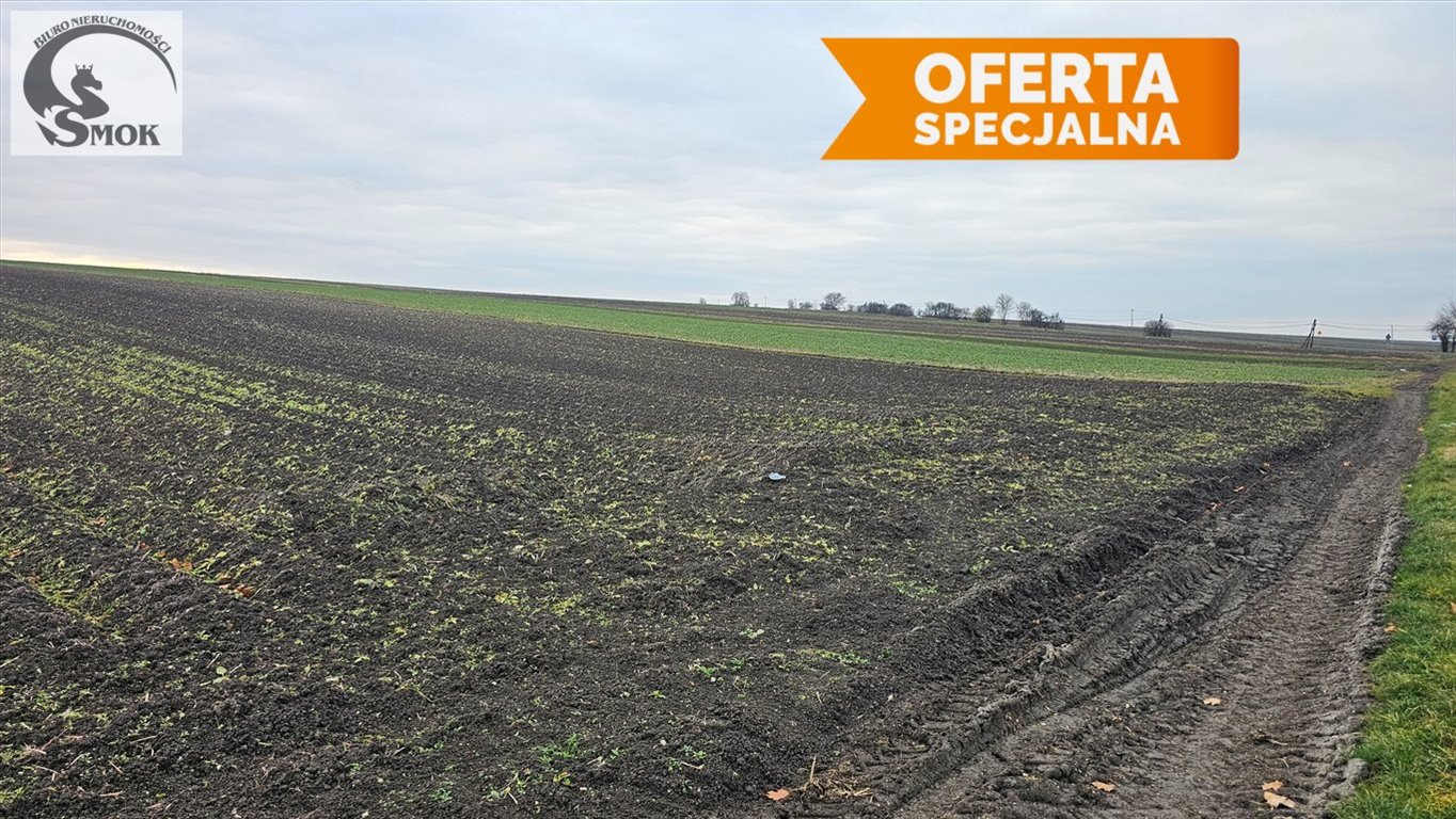 Atrakcyjna działka rolna 2 ha z panoramicznym widokiem Prandocin  20 000m2 Foto 1