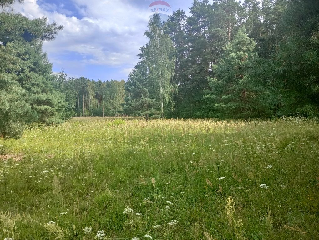 Działka leśna na sprzedaż Ruda  17 407m2 Foto 4