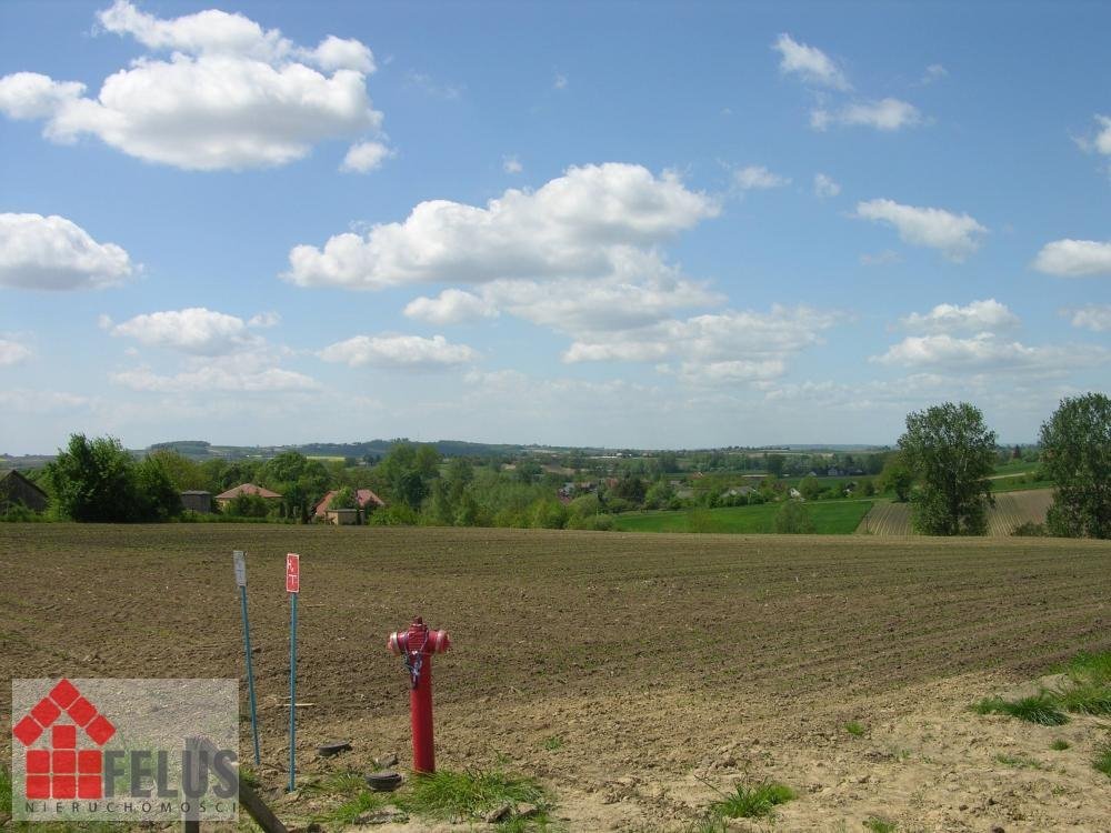 Działka inna na sprzedaż Opatkowice  5 000m2 Foto 5