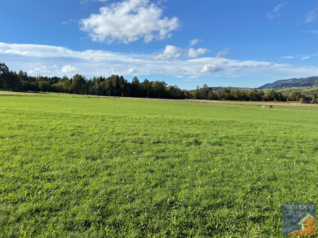 Działka budowlana na sprzedaż Męcina  6 600m2 Foto 15