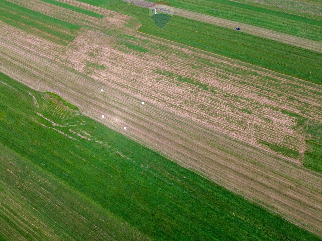 Działka rolna na sprzedaż Stare Bystre  5 013m2 Foto 5