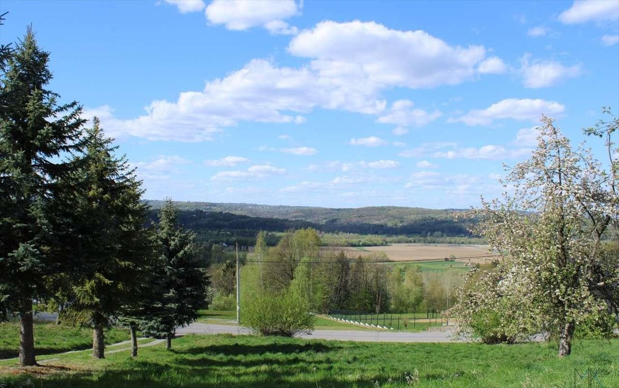Zapraszam do obejrzenia działki 2008 m² z pięknym widokiem Skrzynka  2 008m2 Foto 1