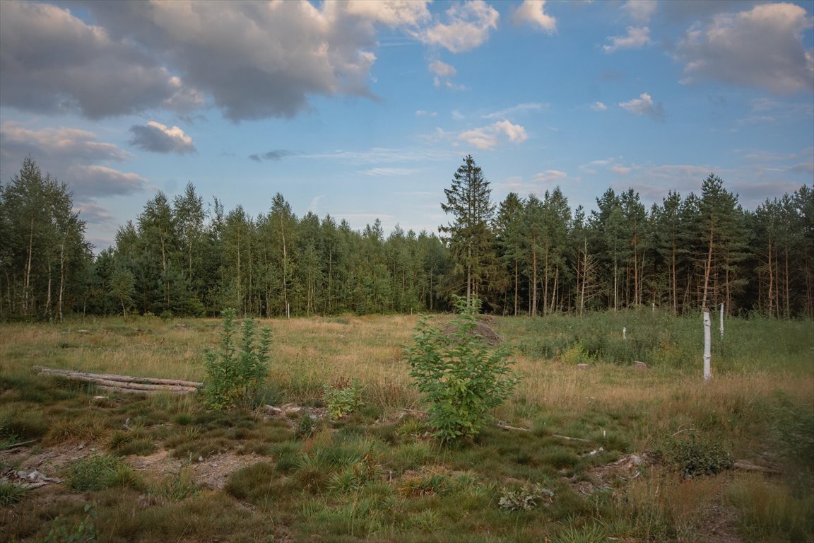 Działka inna na sprzedaż Kowalewo  1 005m2 Foto 11