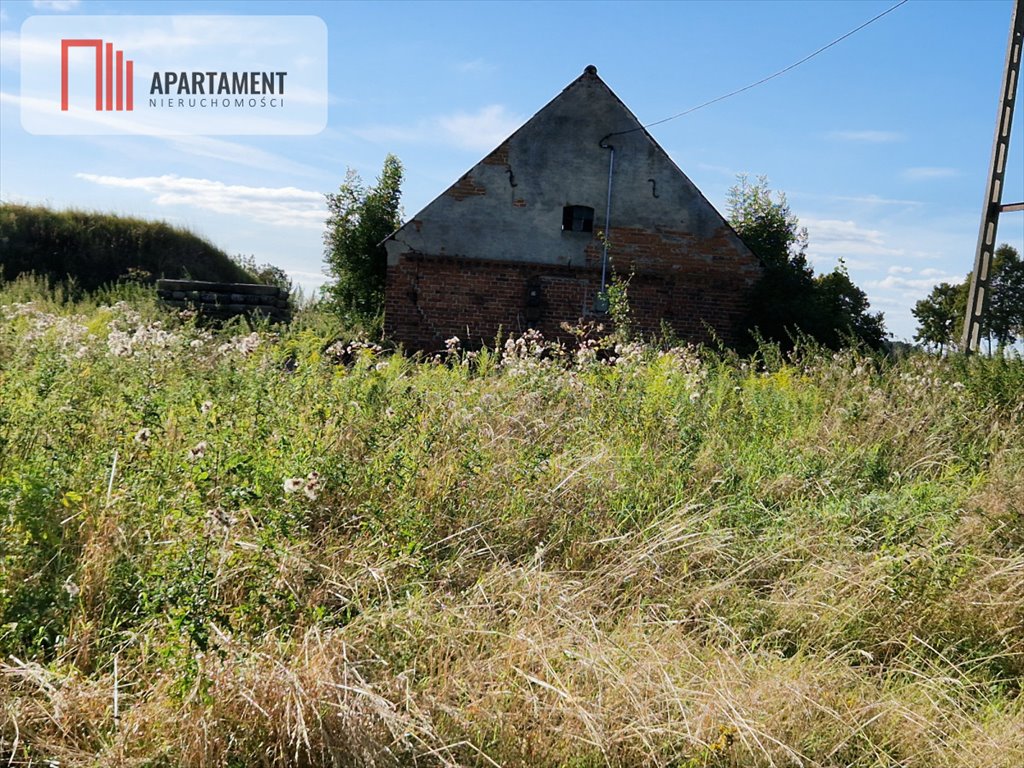 Działka budowlana na sprzedaż Ustaszewo  2 600m2 Foto 4