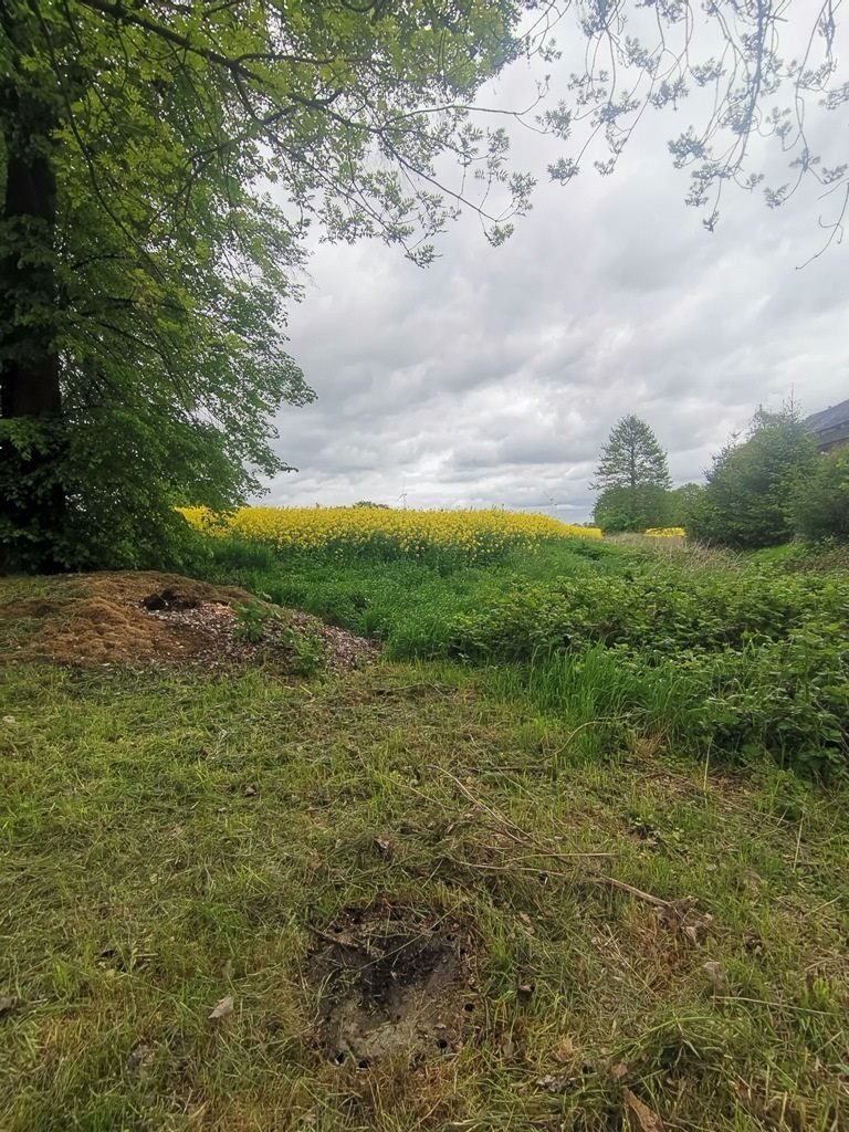 Działka budowlana na sprzedaż Jędrzychowice  1 960m2 Foto 14