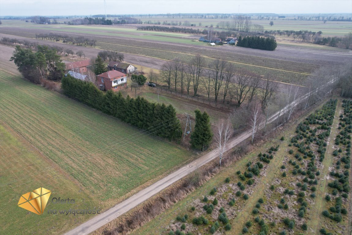 Dom na sprzedaż Wielkolas  200m2 Foto 6