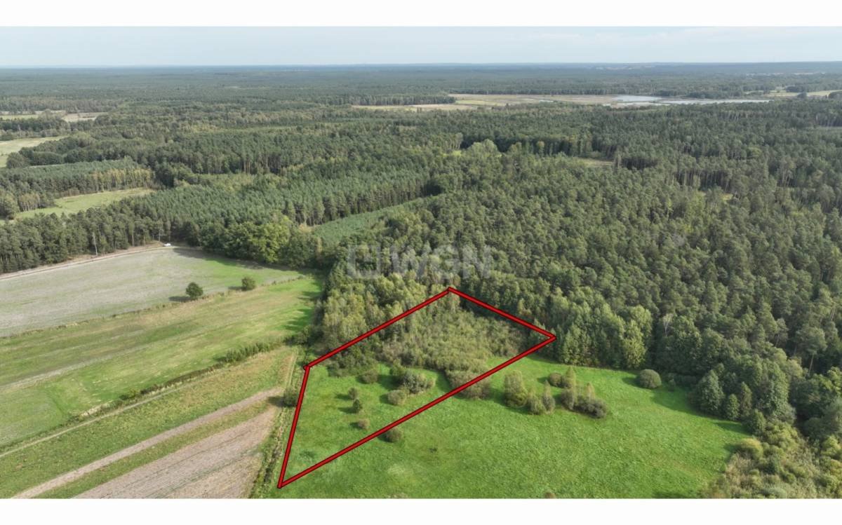 Zalesiony grunt rolny 3 900 m2 w Patoka, Gromadka Patoka, Centrum  3 900m2 Foto 1