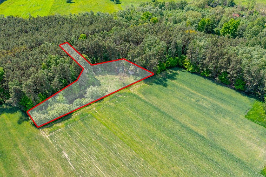Na sprzedaż działka 2300 m² z stawem i domkiem w Górach Prusinowskich Góry Prusinowskie  2 300m2 Foto 1