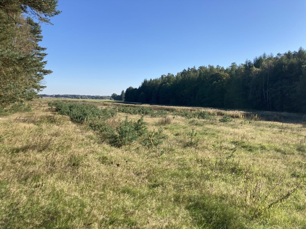 Malownicza działka rolna 1,97 ha z lasem i dostępem asfaltowym Krzepocin  19 743m2 Foto 1