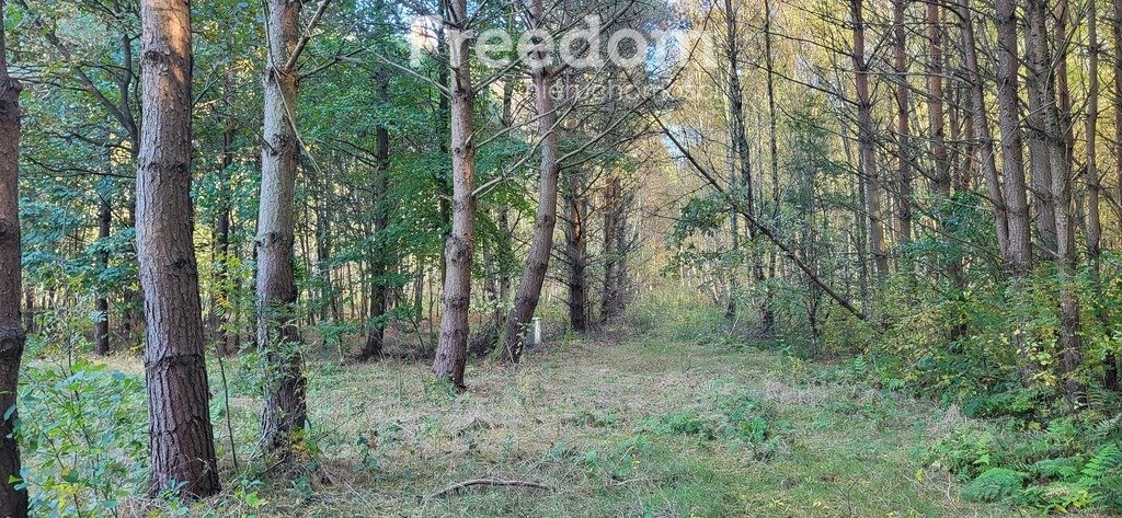 Działka budowlana na sprzedaż Smołdziński Las  3 776m2 Foto 1