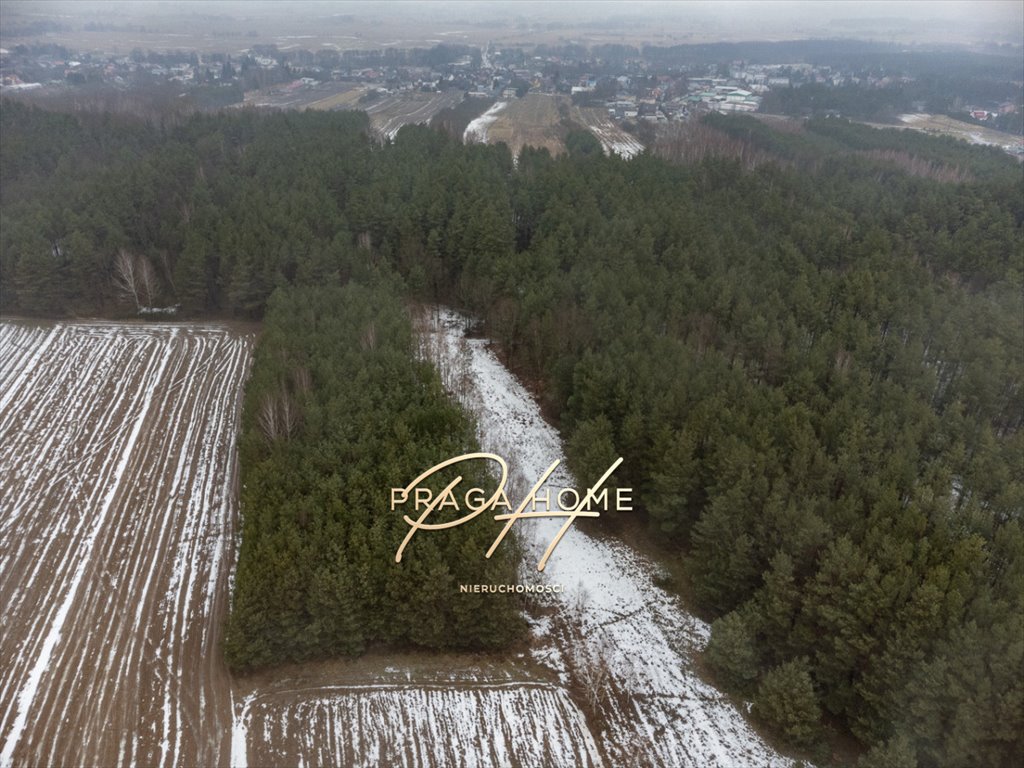 Działka leśna w Wyśmierzycach 1918 m2, dojazd utwardzony Wyśmierzyce  1 918m2 Foto 1