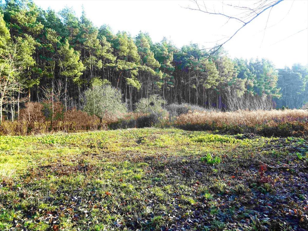 Działka budowlana na sprzedaż Poznań, Stare Miasto, Naramowice, Diamentowa  3 000m2 Foto 3