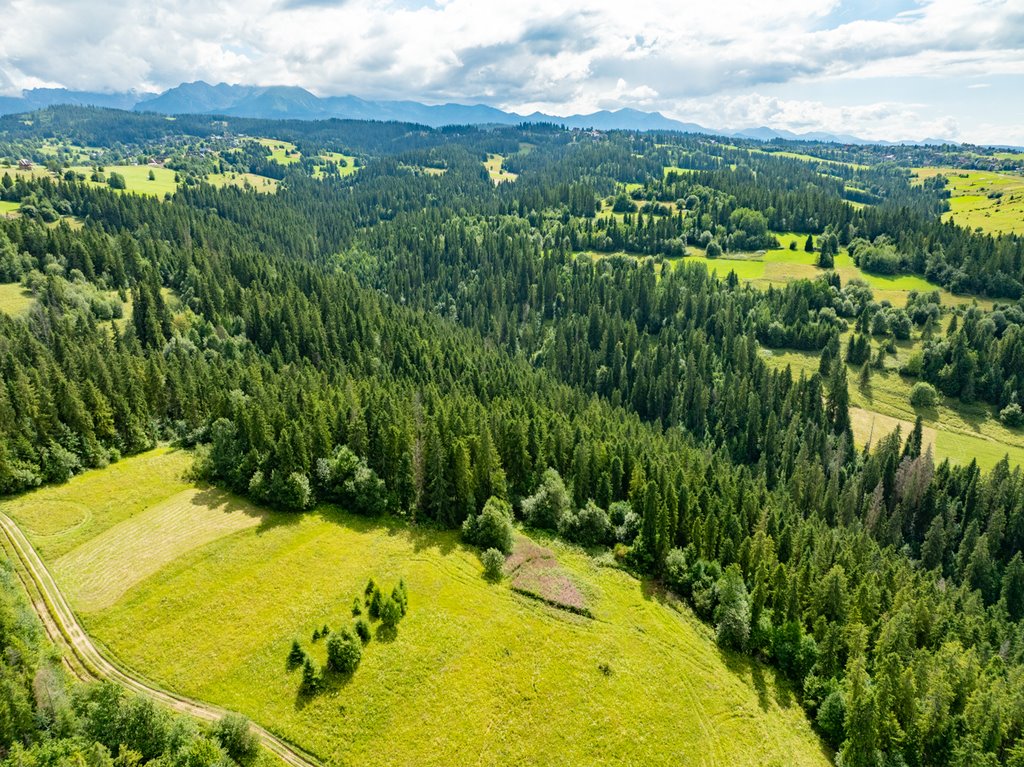 Działka 730 m² w otulinie lasu, bez planu, na sprzedaż Brzegi  730m2 Foto 1