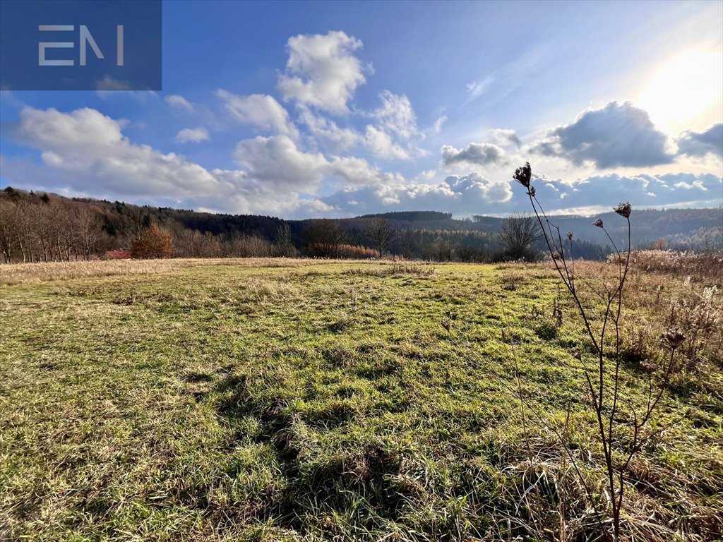 Działka 0,5 ha z widokiem, pod zabudowę - polecam Żarnowa  5 000m2 Foto 1