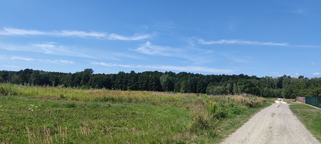 Działka budowlana na sprzedaż Lipków, Jastrzębia  918m2 Foto 4