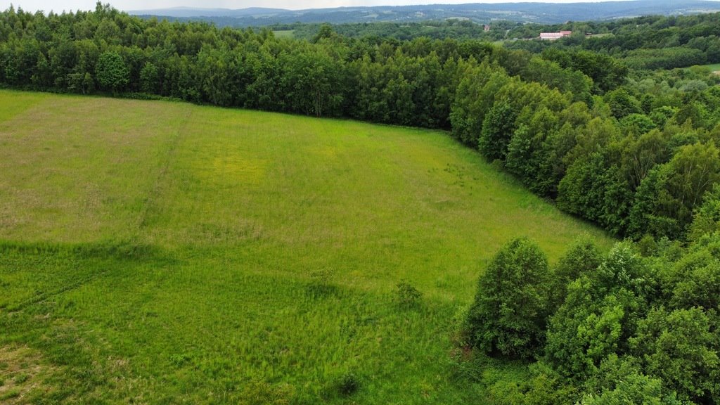 Działka leśna na sprzedaż Hermanowa  1 300m2 Foto 5