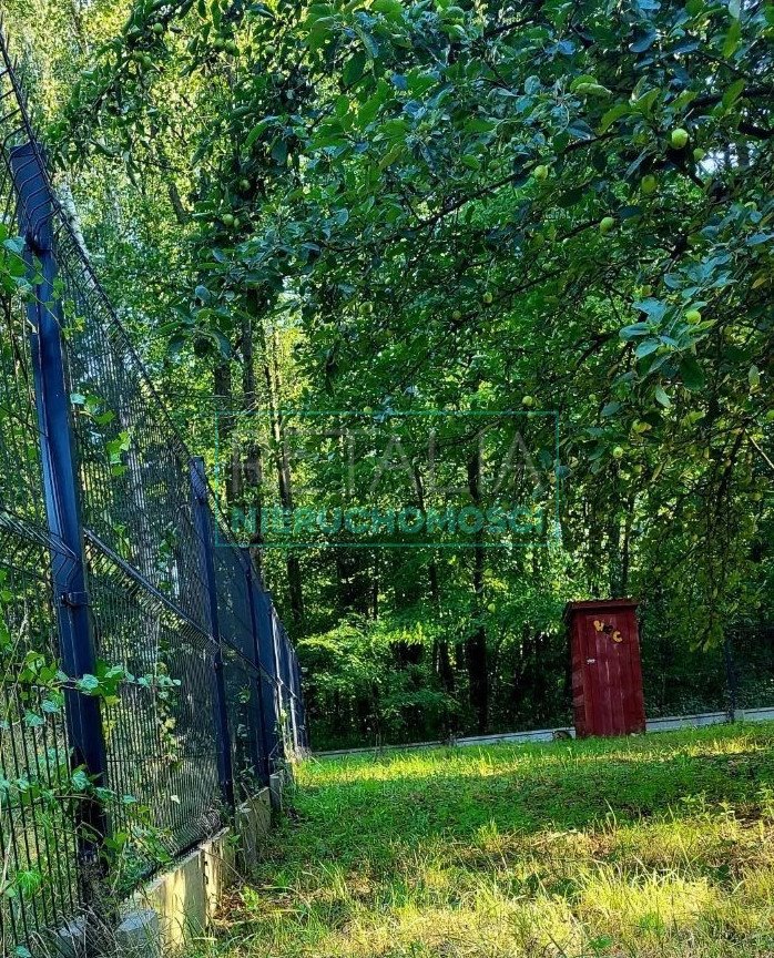 Działka budowlana na sprzedaż Budy Mszczonowskie  3 000m2 Foto 2